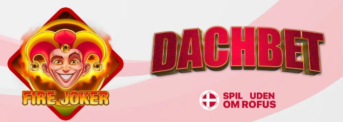 dachbet casino anmeldelse spiludenomrofus.net